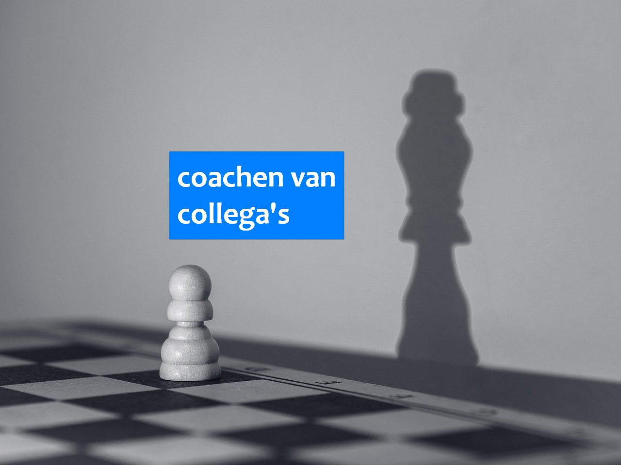team training coaching