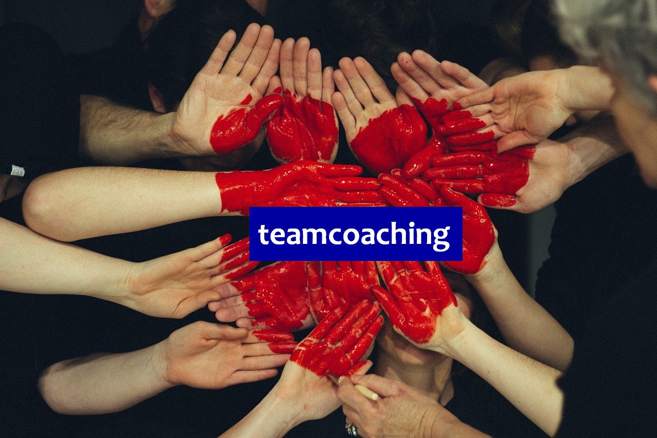 team training coaching