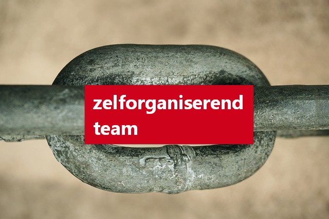 team training coaching