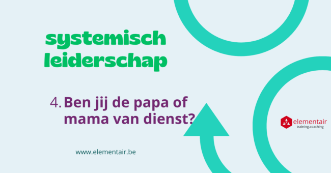 systemisch leiderschap