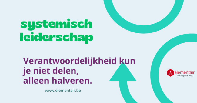 systemisch leiderschap